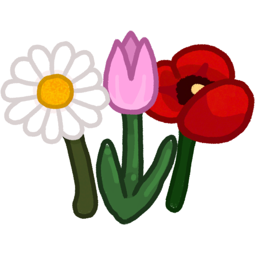 3 flowers, from left to right: a white daisy, a pink tulip, and a red poppy 